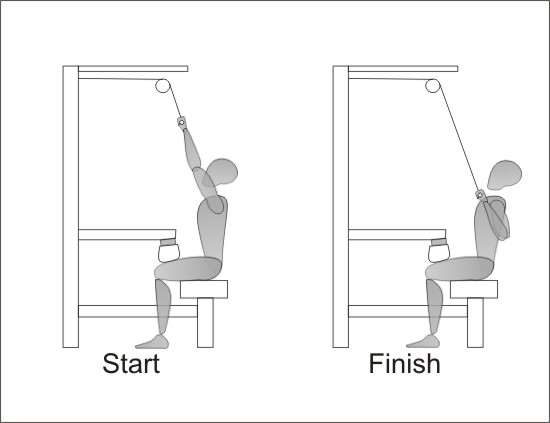 The Lat Pulldown